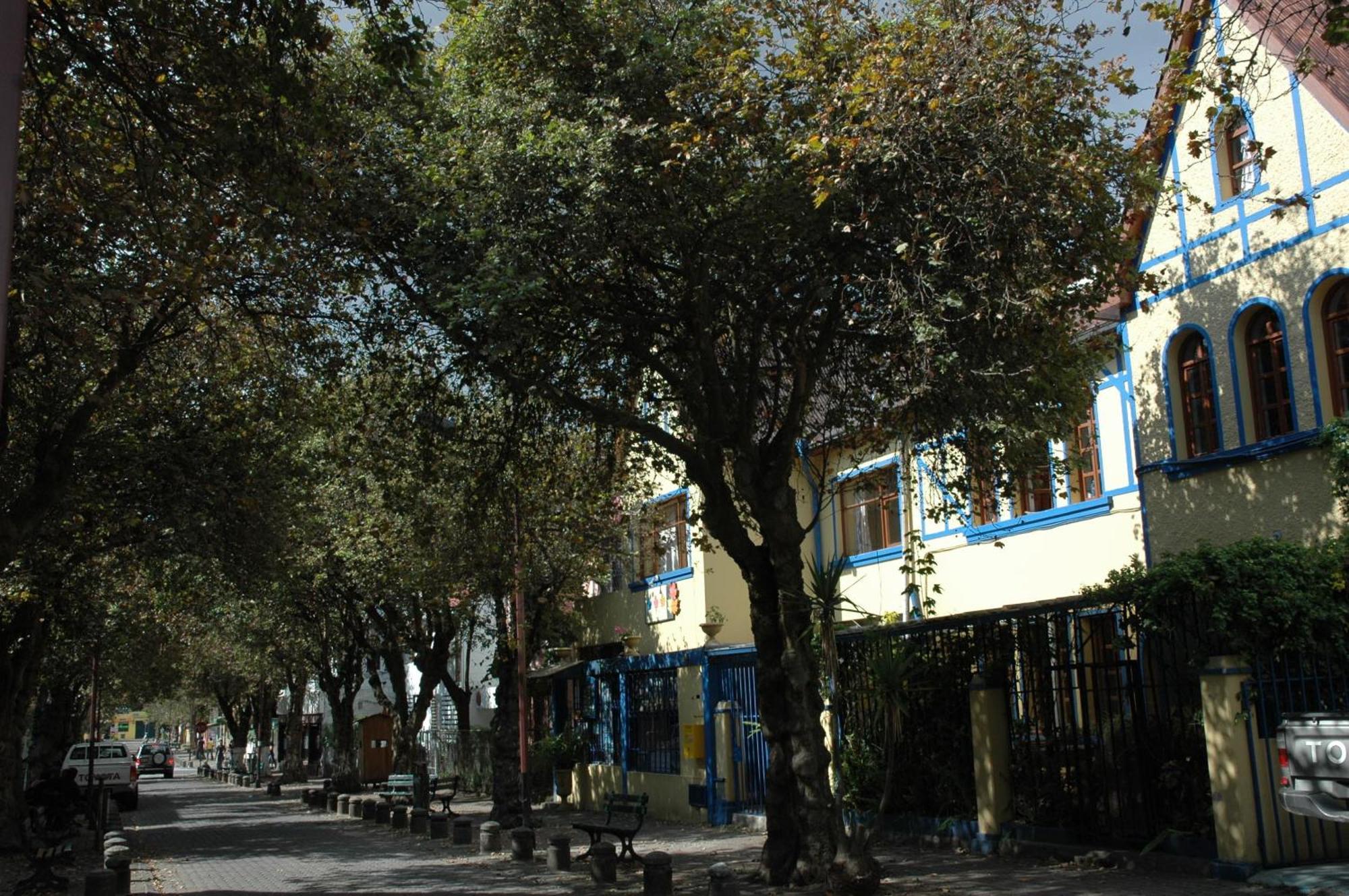 Hostal Posada Del Maple Quito Dış mekan fotoğraf