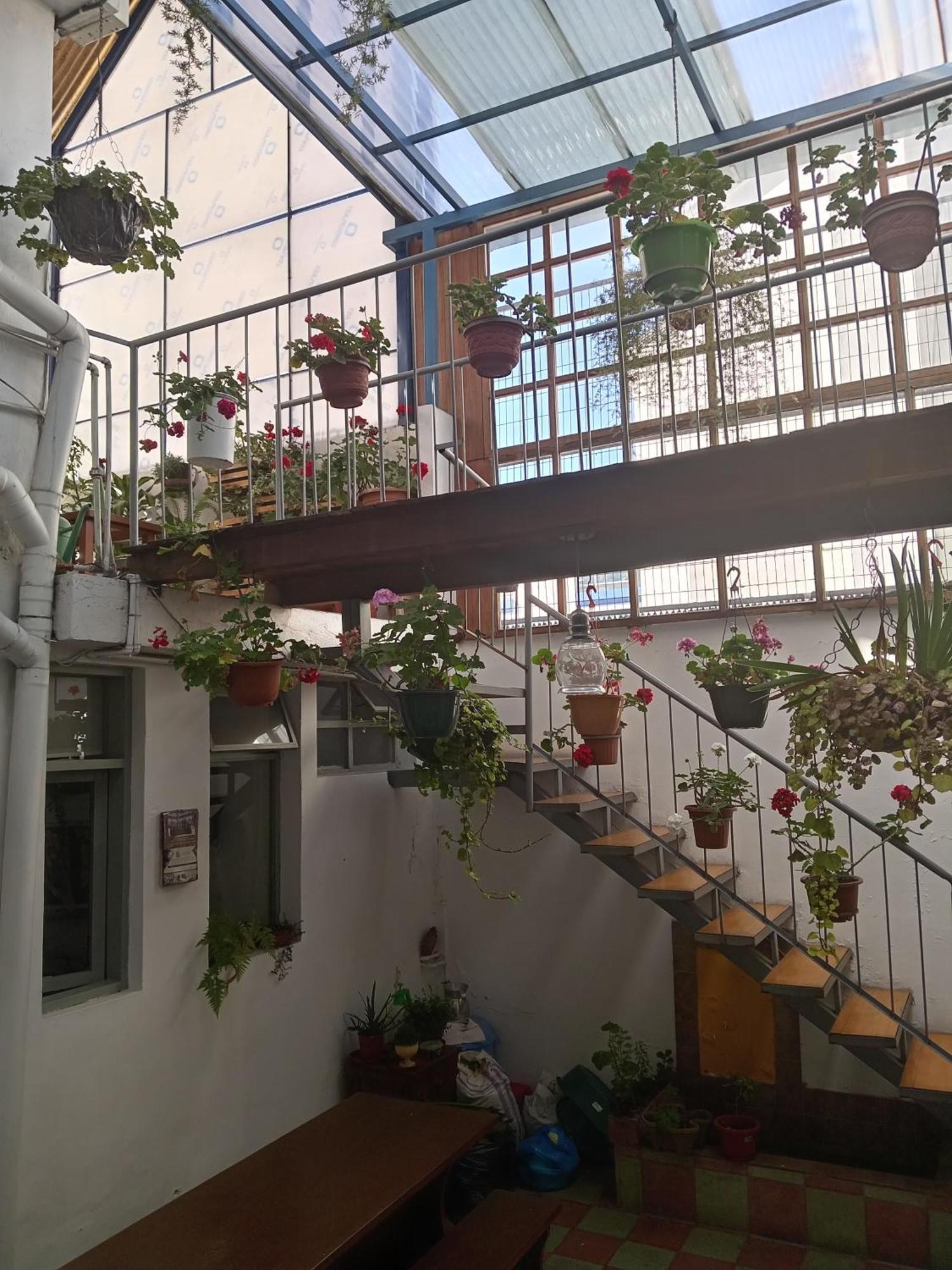 Hostal Posada Del Maple Quito Dış mekan fotoğraf