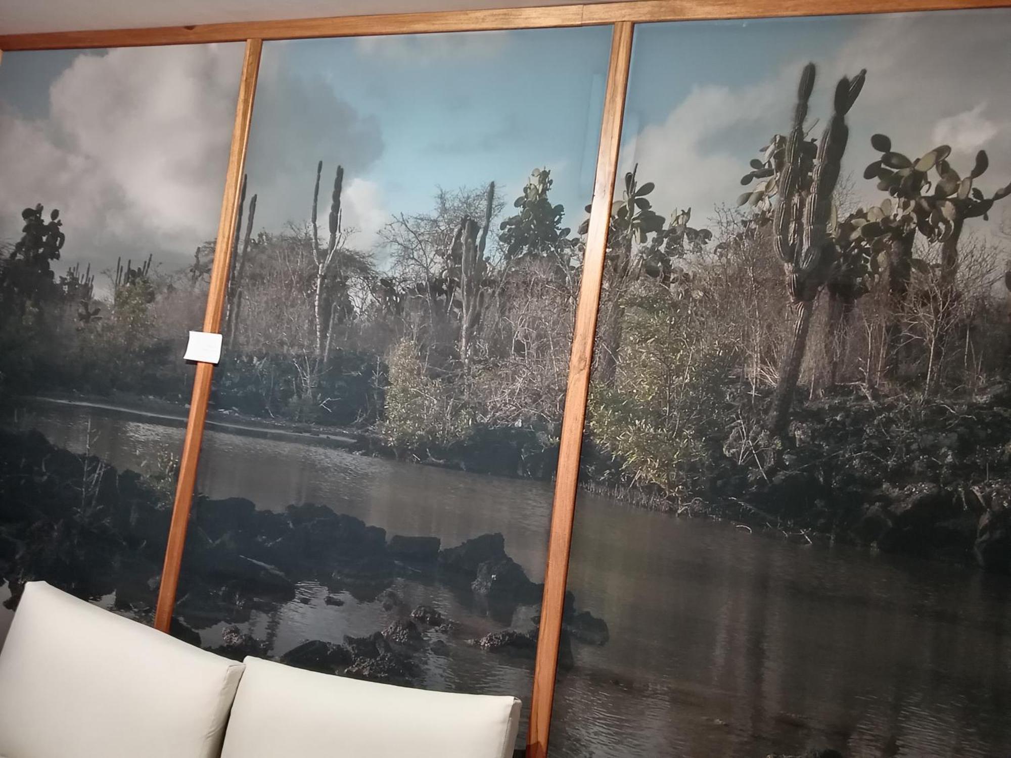 Hostal Posada Del Maple Quito Dış mekan fotoğraf