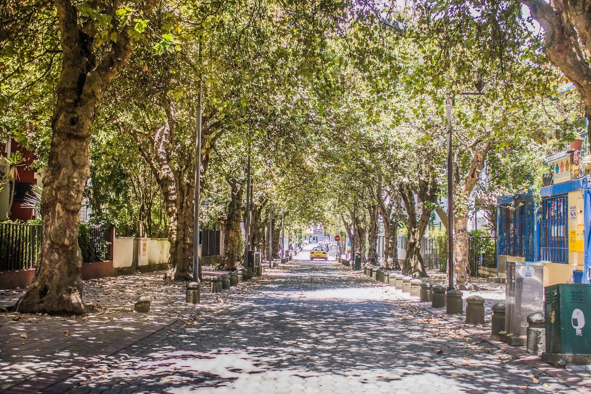 Hostal Posada Del Maple Quito Dış mekan fotoğraf