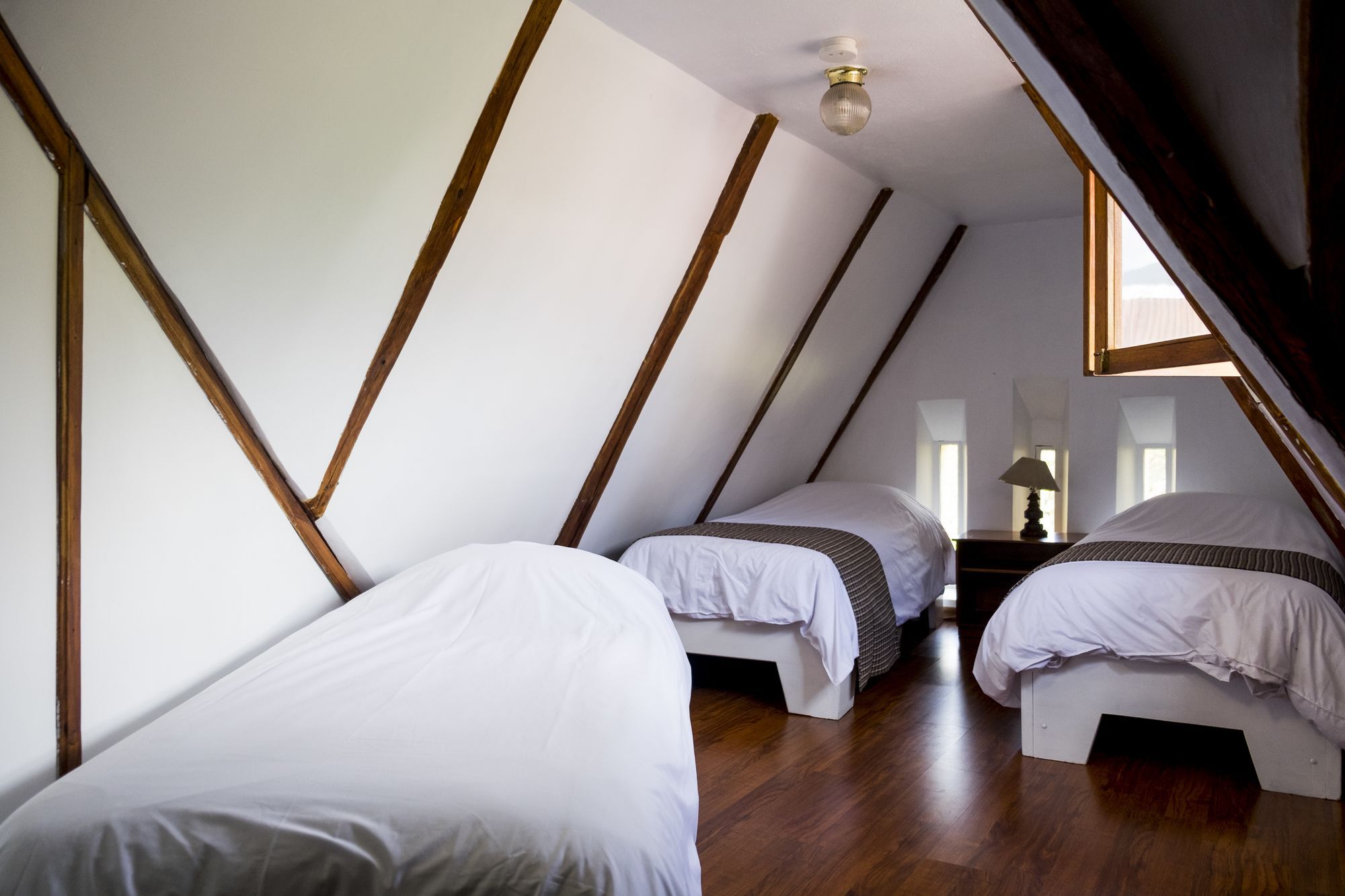 Hostal Posada Del Maple Quito Dış mekan fotoğraf