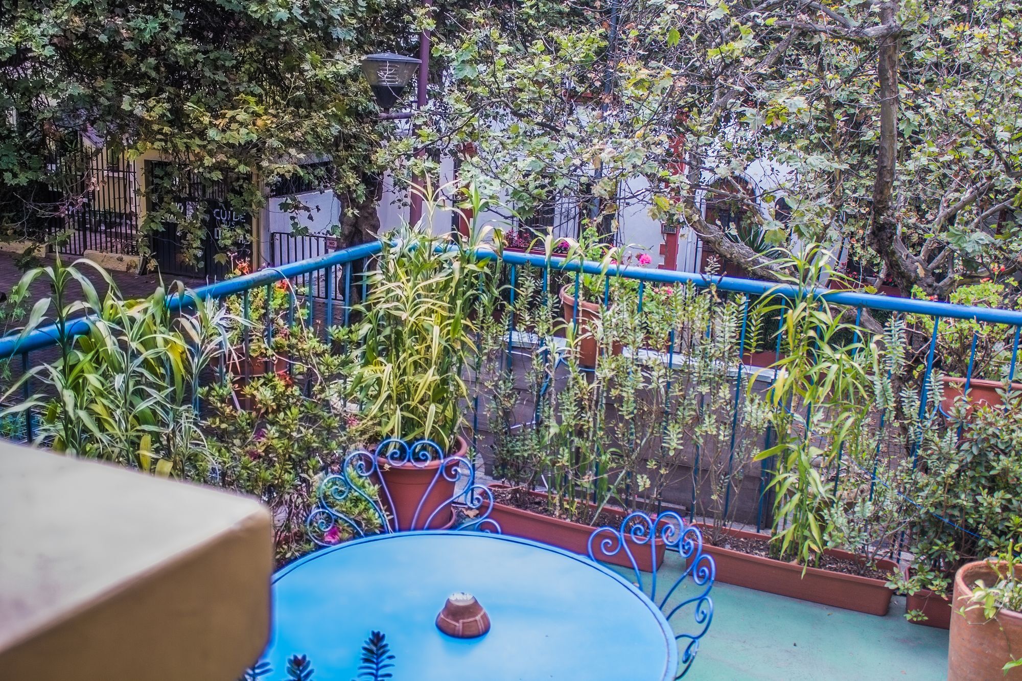 Hostal Posada Del Maple Quito Dış mekan fotoğraf