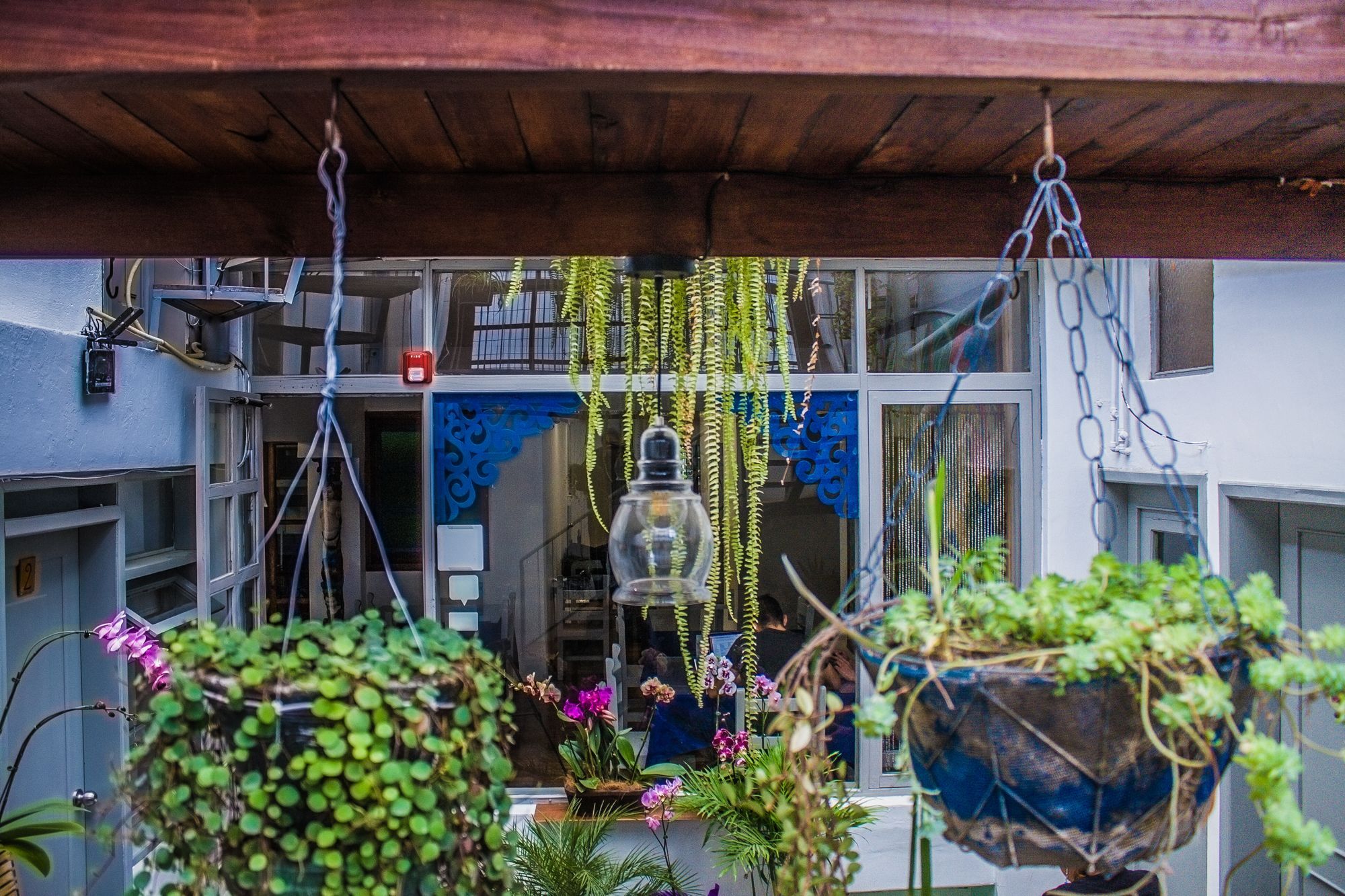 Hostal Posada Del Maple Quito Dış mekan fotoğraf