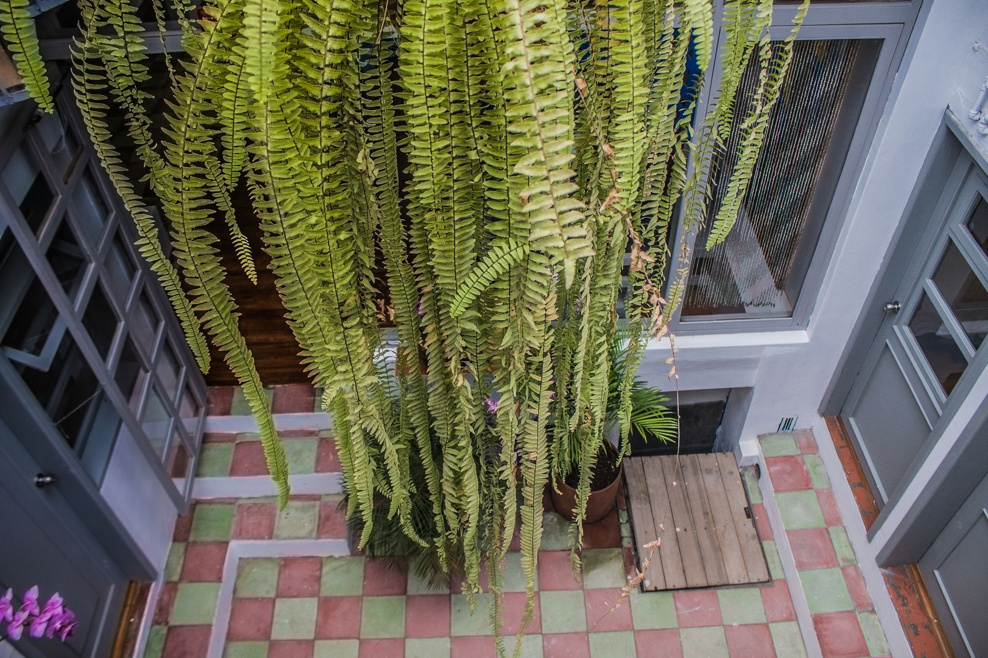 Hostal Posada Del Maple Quito Dış mekan fotoğraf